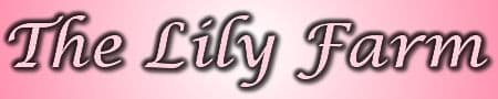 The Lily Farm