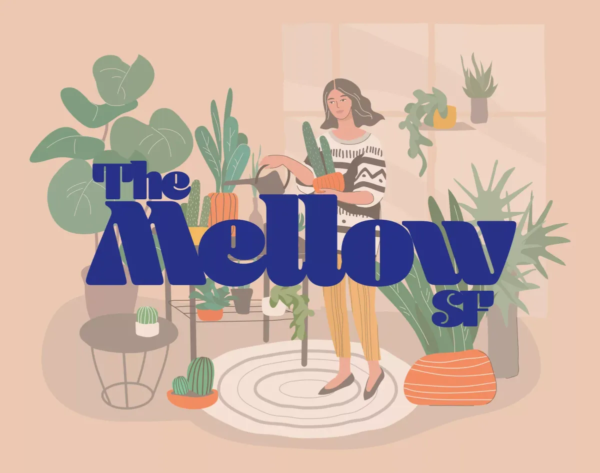 The Mellow Haight