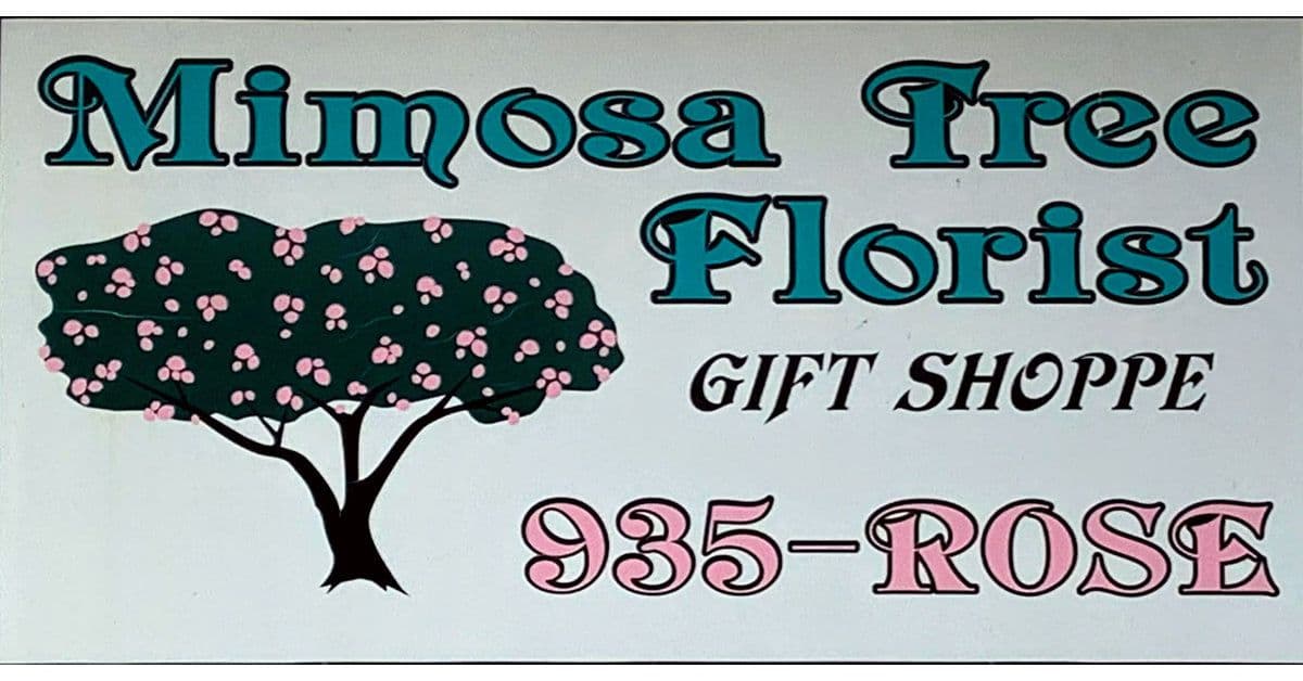 The Mimosa Tree