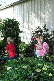 The Mustard Seed Nursery
