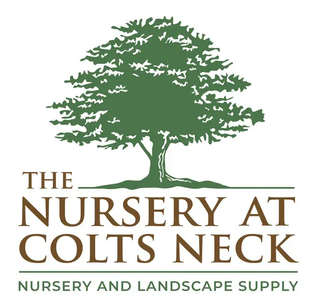 The Nursery at Colts Neck