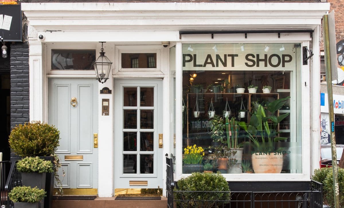The Old Yew Plant Shop