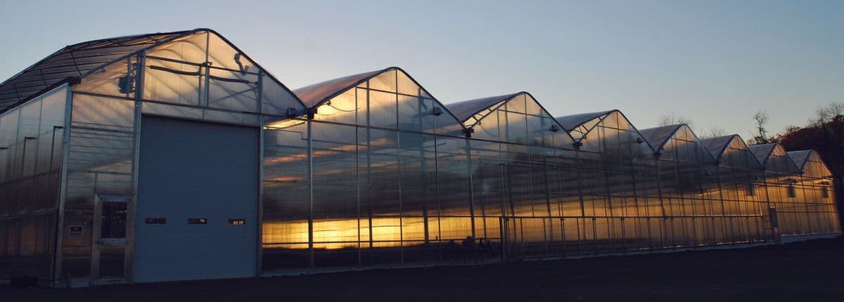 The Perennial Farm