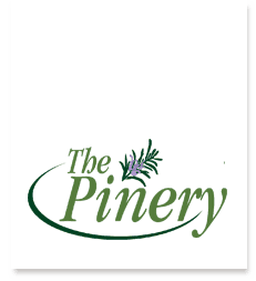 The Pinery