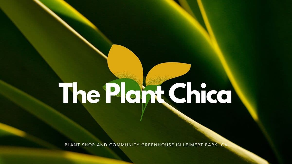 The Plant Chica