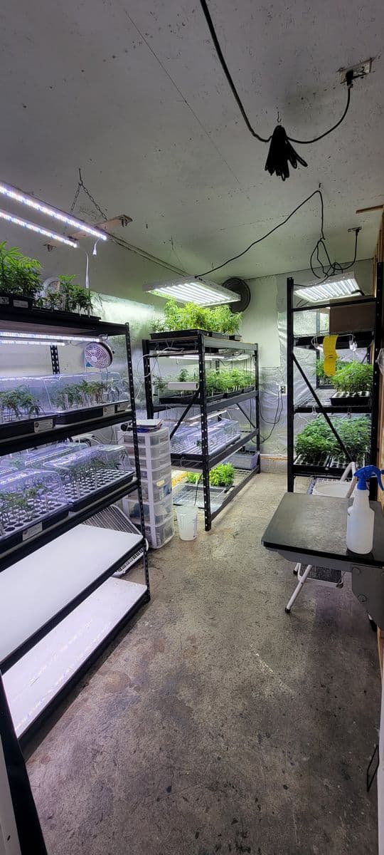 The Plant Depot LLC