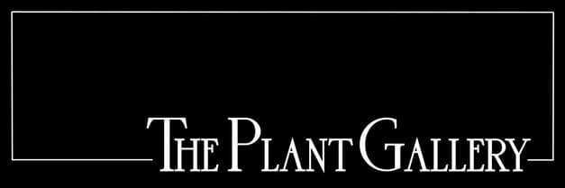 The Plant Gallery & Zalea Flowers