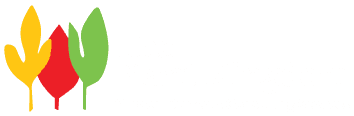 The Plant Kingdom