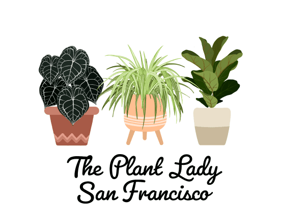 The Plant Lady SF