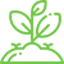 The Plant Niche