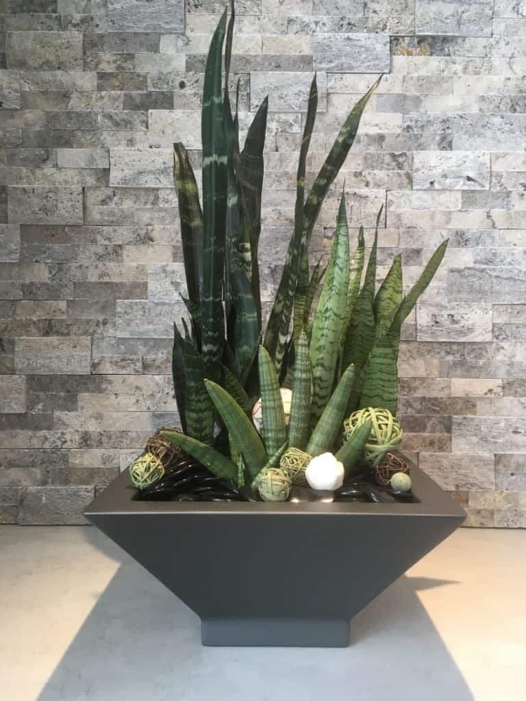 The Plant Professionals