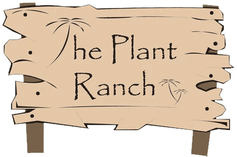 The Plant Ranch