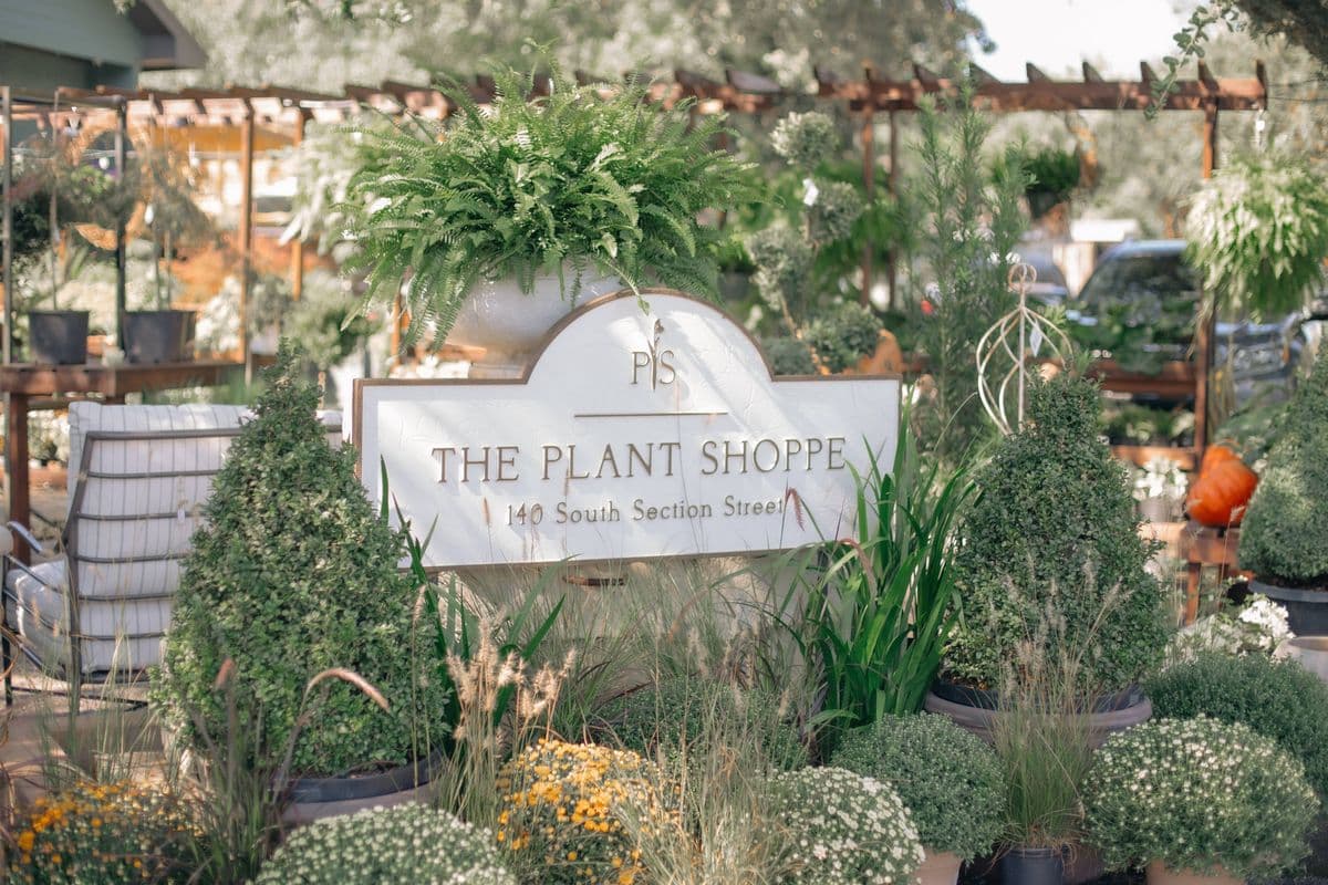 The Plant Shoppe