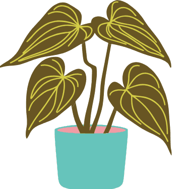 The Plant Society