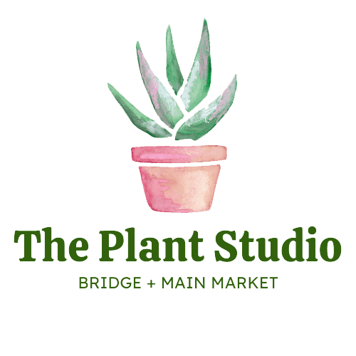 The Plant Studio at Bridge + Main Market