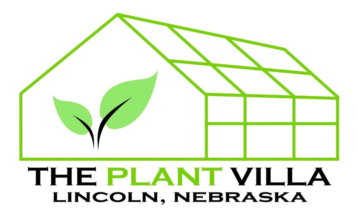 The Plant Villa