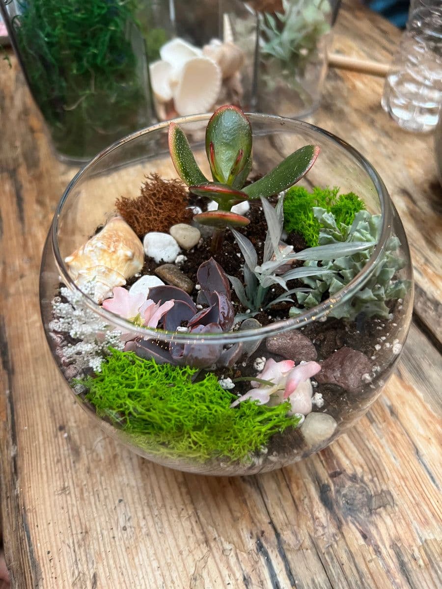 The Planter