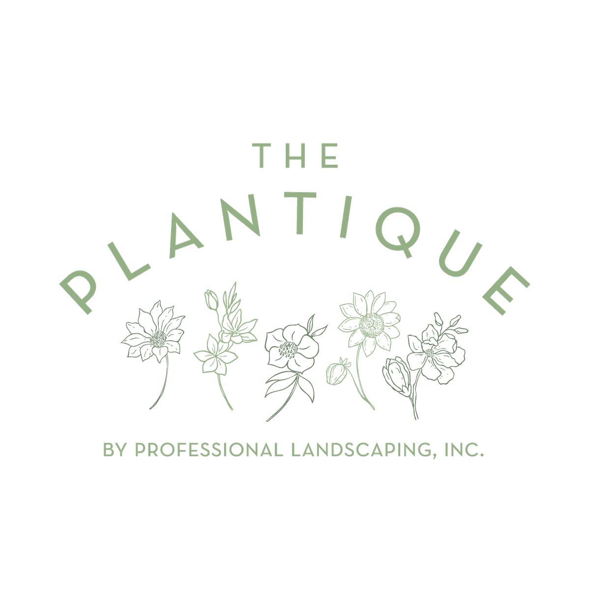 The Plantique