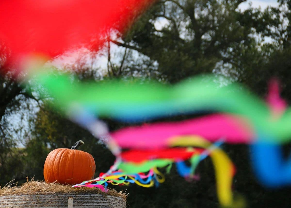 The Pumpkin Patch at BE Farm