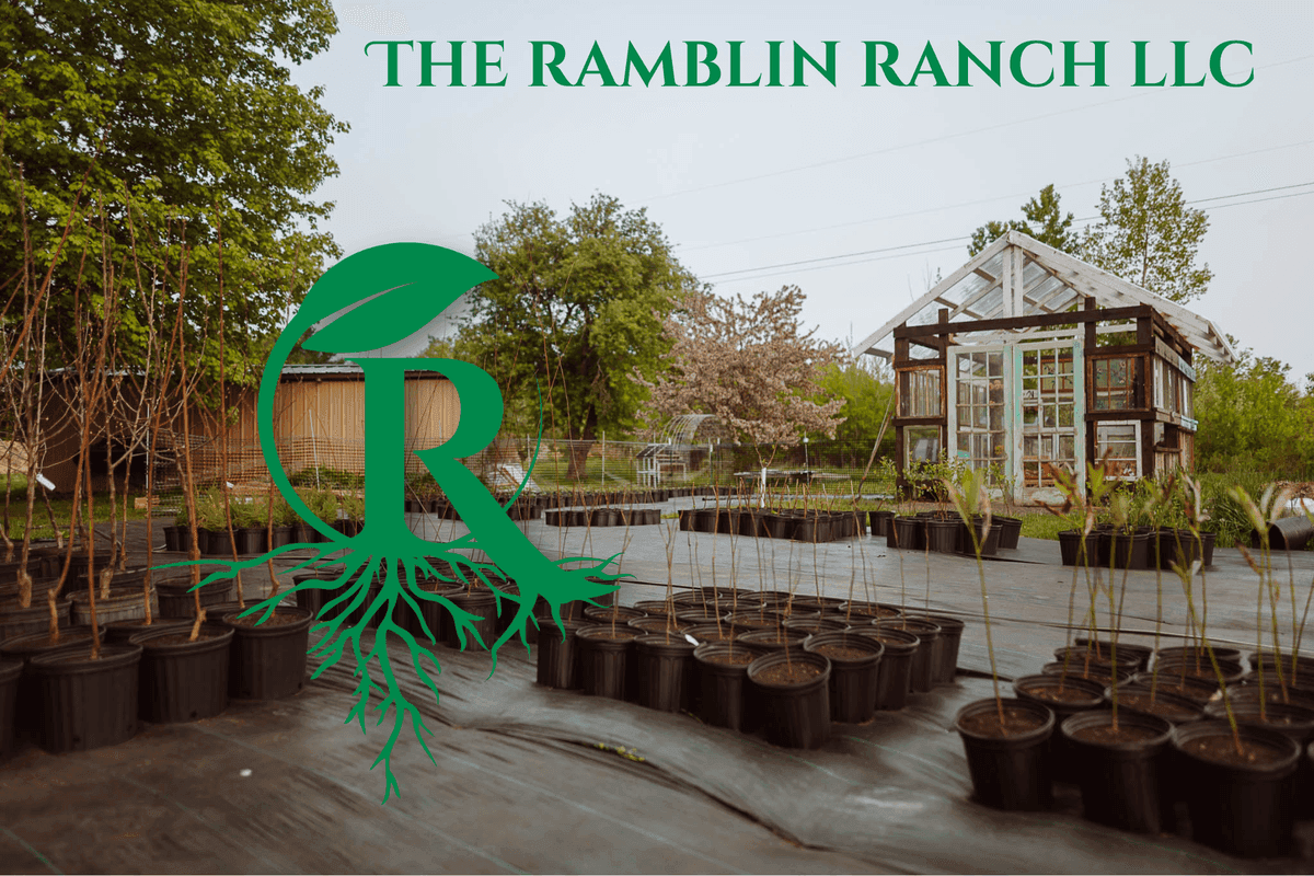 The Ramblin Ranch