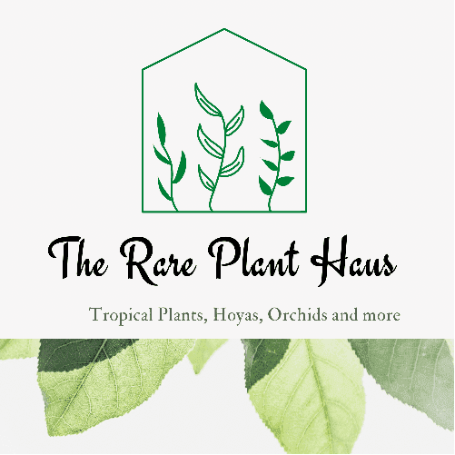 The Rare Plant Haus