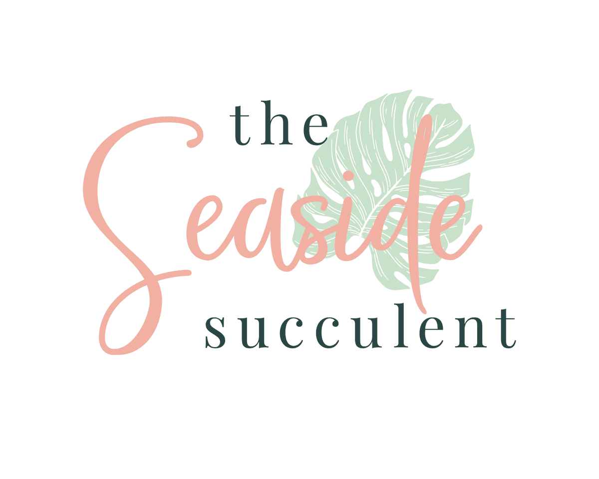 The Seaside Succulent