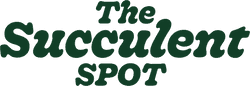 The Succulent spot