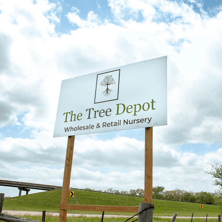The Tree Depot