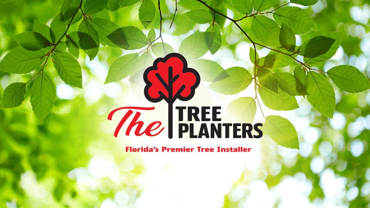 The Tree Planters