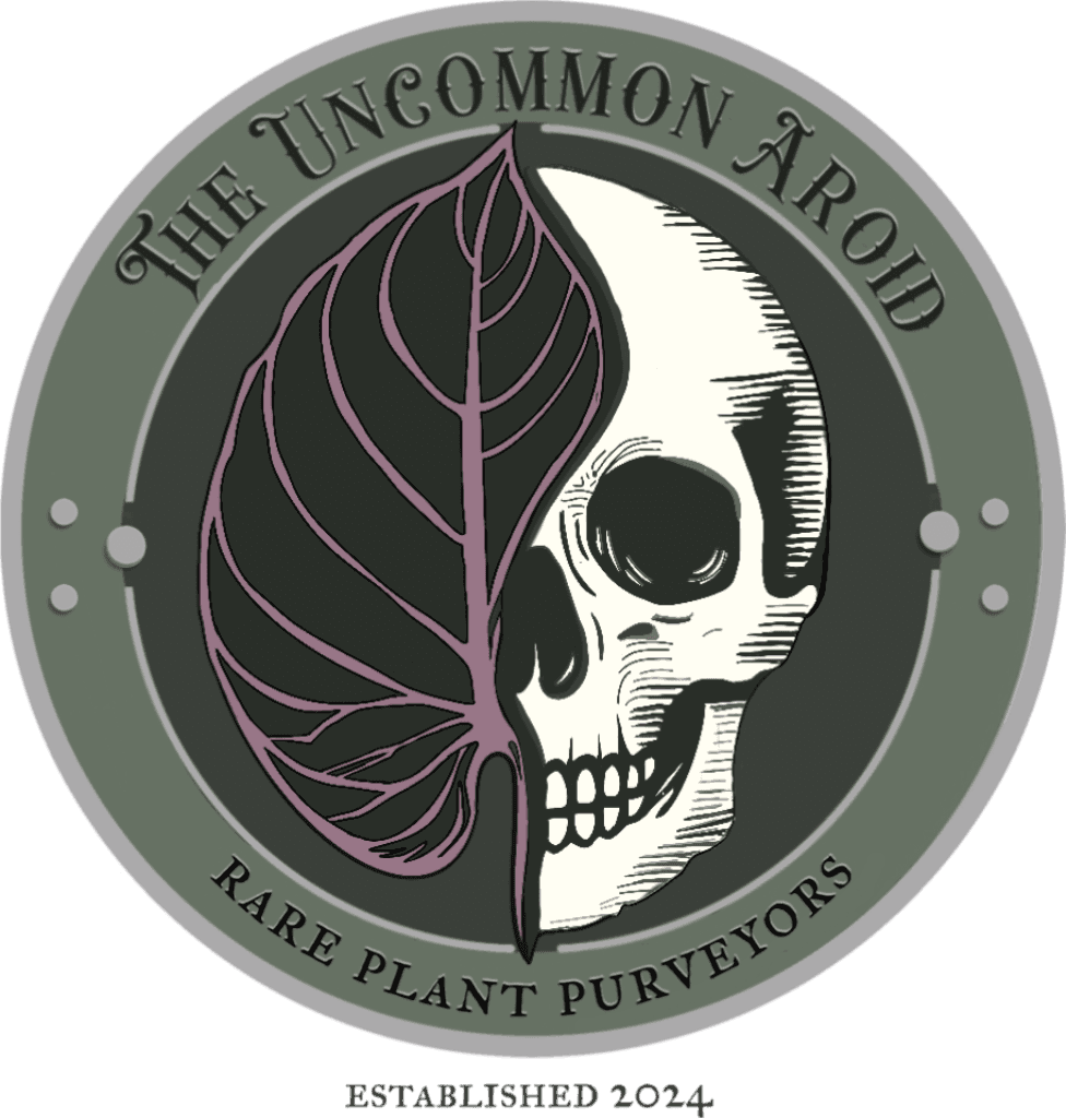 The Uncommon Aroid