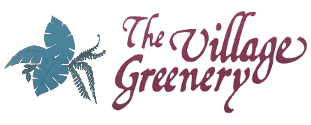 The Village Greenery