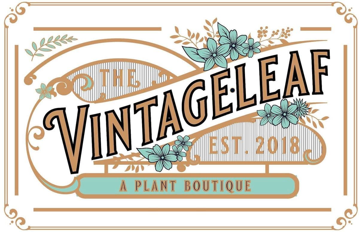 The Vintageleaf Boutique