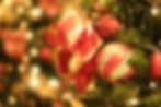 The Wayward Rose Nursery