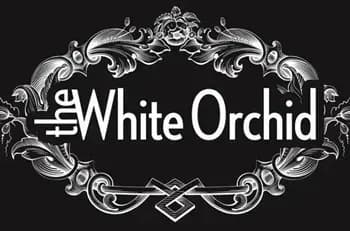 The White Orchid