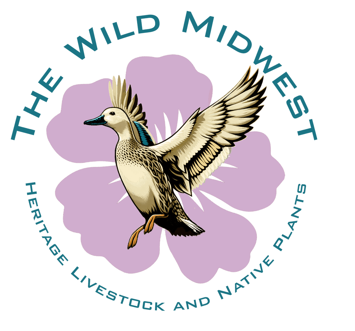The Wild Midwest LLC