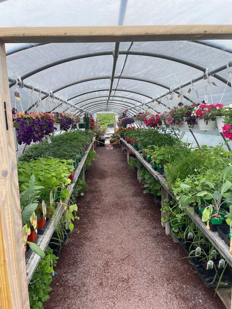 The Wildflower Garden Center