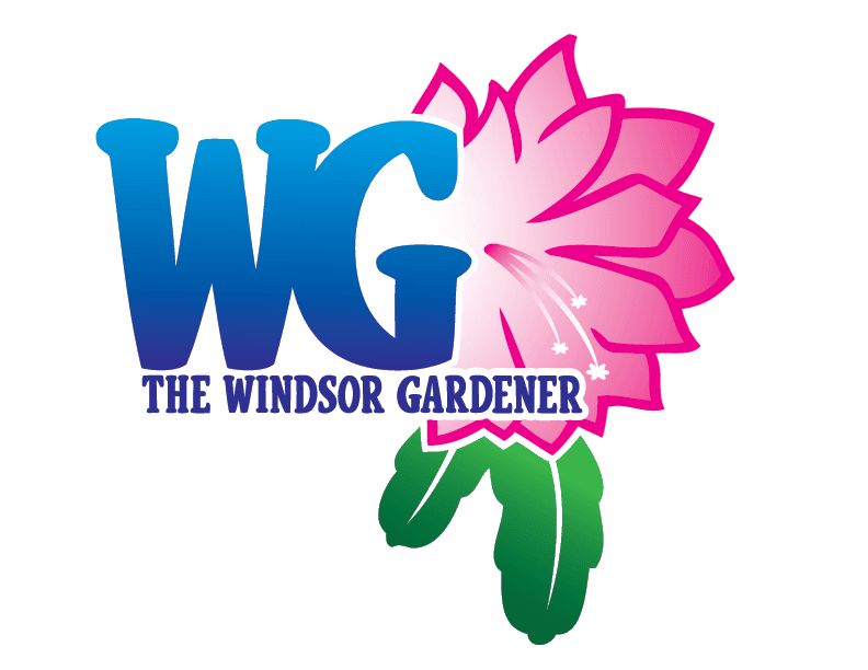 The Windsor Gardener