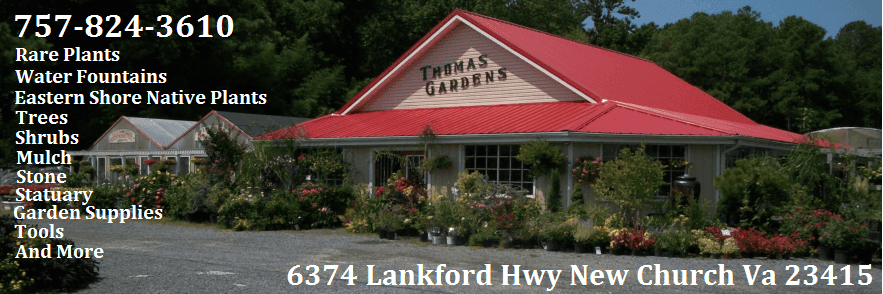 Thomas Gardens