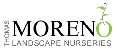 Thomas Moreno Landscape Nursery Inc