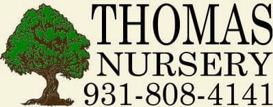 Thomas Nursery