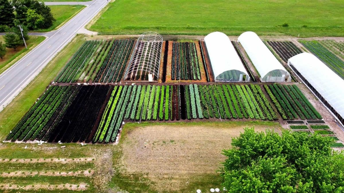 Thompson Produce & Greenhouse