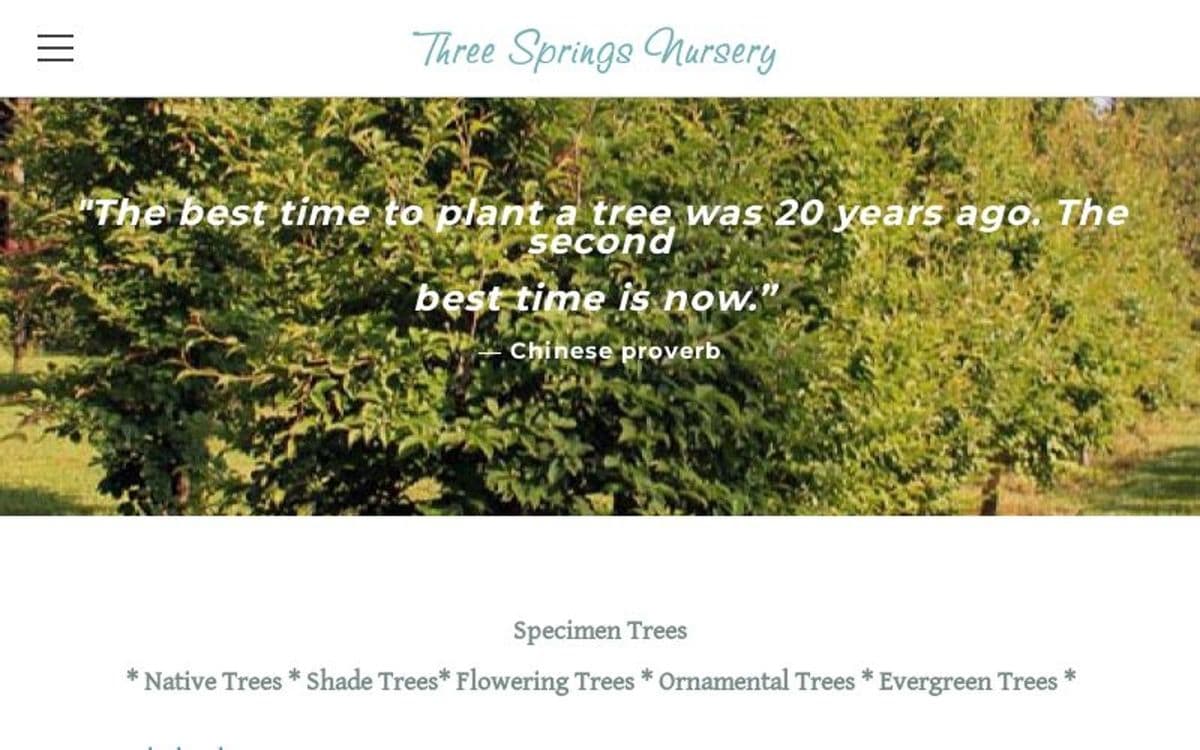 Three Springs Nursery