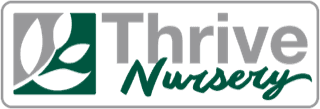 Thrive Nursery
