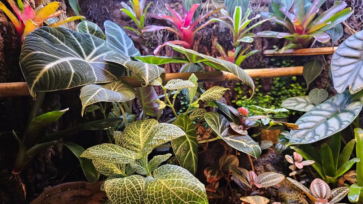 Thyme Travelers Conservatory