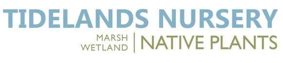 Tidelands Nursery LLC.