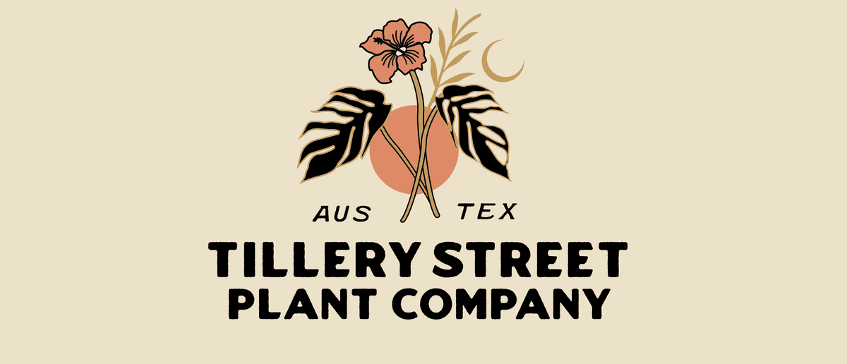 Tillery Street Plant Co.