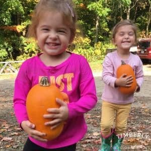 Timberly Tree Farm