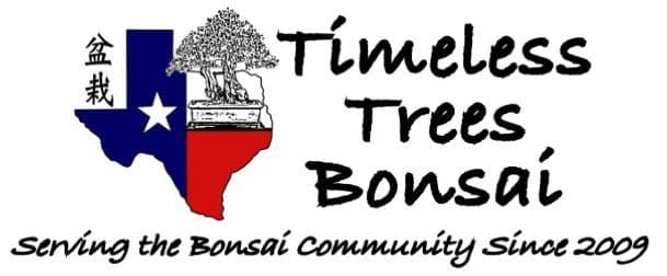Timeless Trees