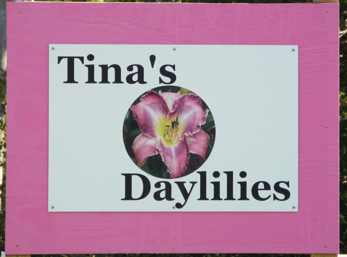 Tina's Daylilies