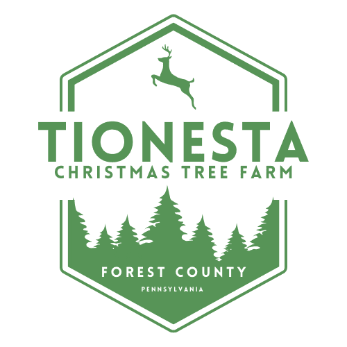 Tionesta Christmas Tree Farm
